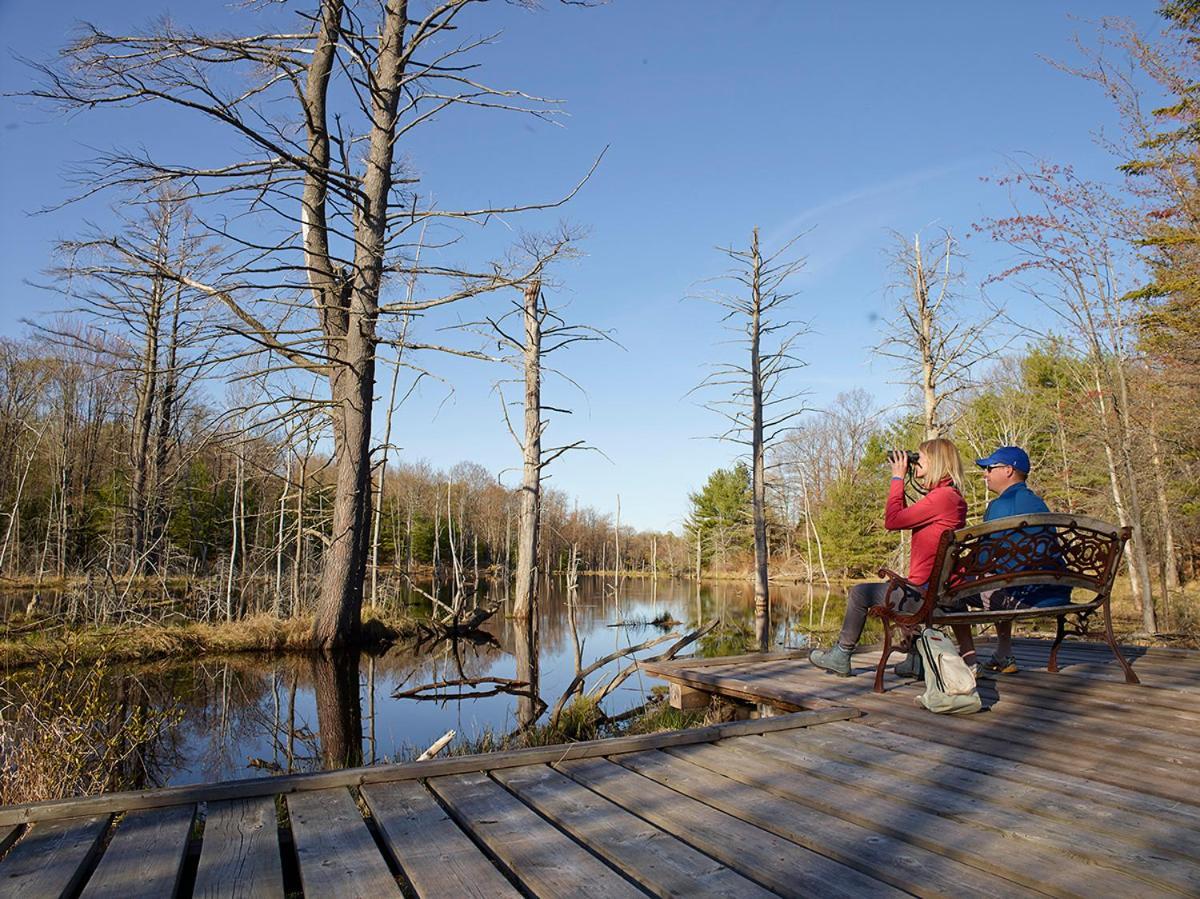 Taboo Muskoka Hotel Gravenhurst Exterior photo